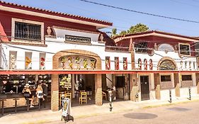 5 Frogs Hotel Bucerias